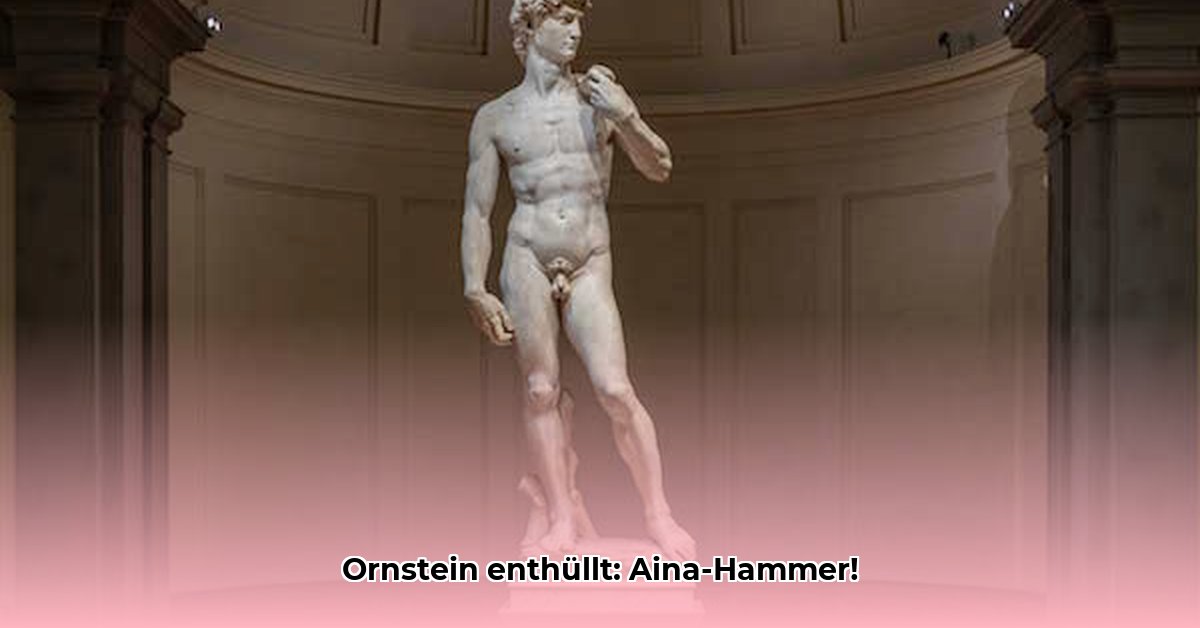 david-ornstein-twitter